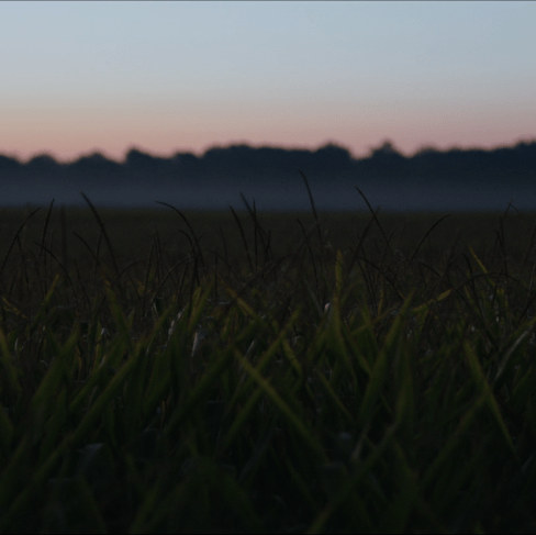 indiana_toni_comas_1